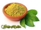 Pride Of India - Herbal Henna (Lawsonia Inermis) Hair Color Powder w/Gloves - Natural Red, Half Pound (8oz - 227gm) Jar