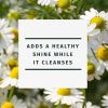 Herbal Essences Shine Shampoo;  Chamomile;  29.2 fl oz