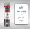 ABOVE Shiny Silver - 48 Hours Elements Antiperspirant Deodorant - Dry Spray for Men - Notes of Jasmine and Mint - Protects Against Sweat and Body Odor